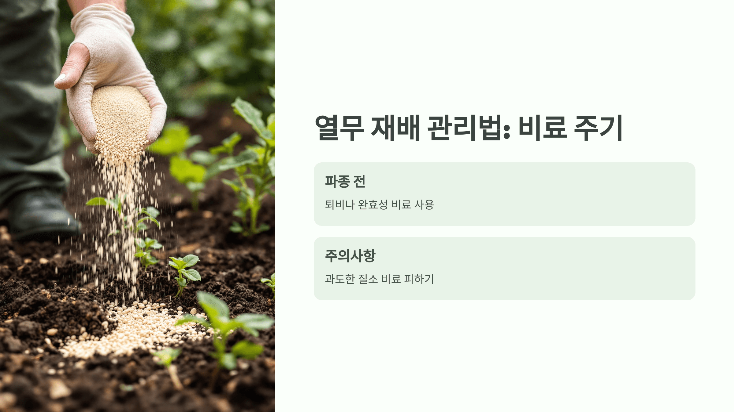 열무 사진입니다.