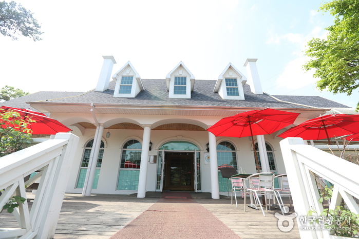 원주 하이볼축제