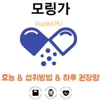 모링가 에대해 알아보자.