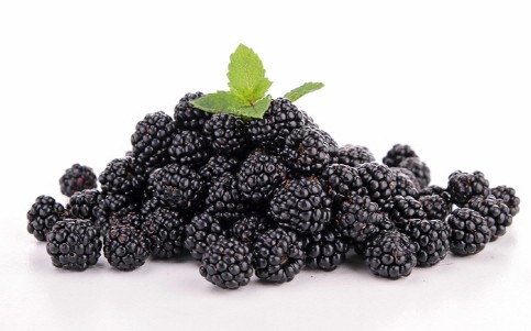 복분자 효능, 가격, 산딸기와 차이, 복분자주 담그는법(술 담그는법)