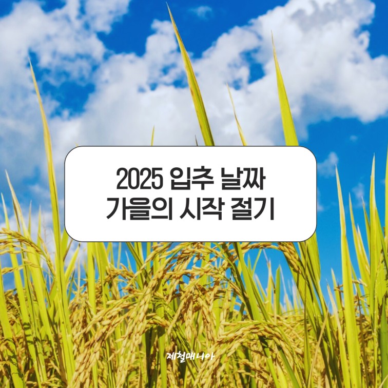 2025 입추