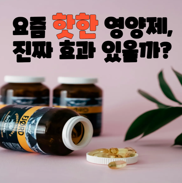 핫한 영양제 효과