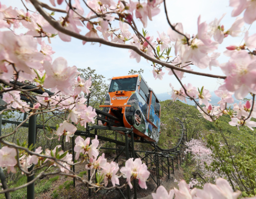 함양대봉산휴양밸리 모노레일