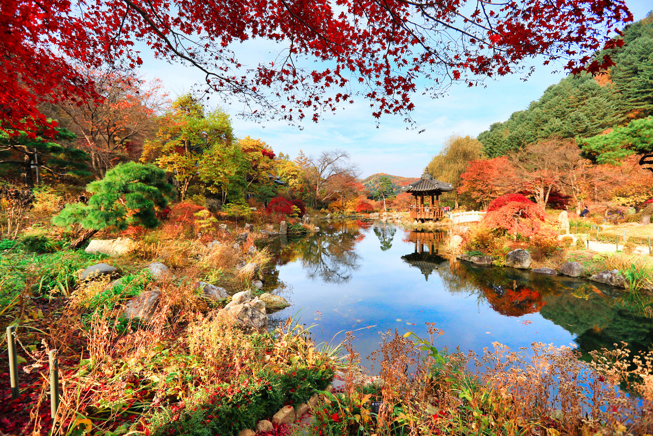 23년 아고다 11월 할인코드 + 경기도 단풍명소 BEST 05 가을 나들이 여행