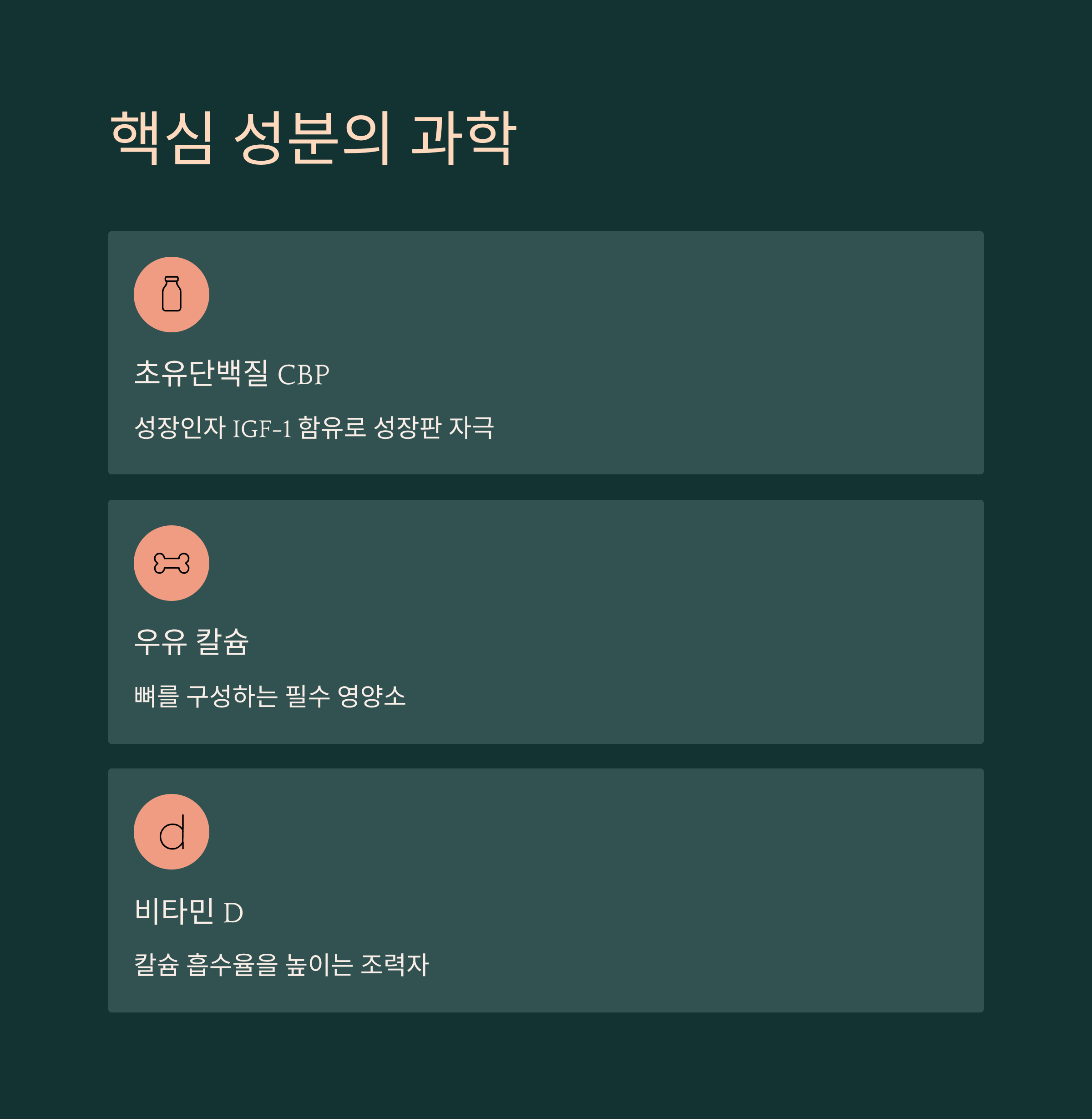 알파아이 후기