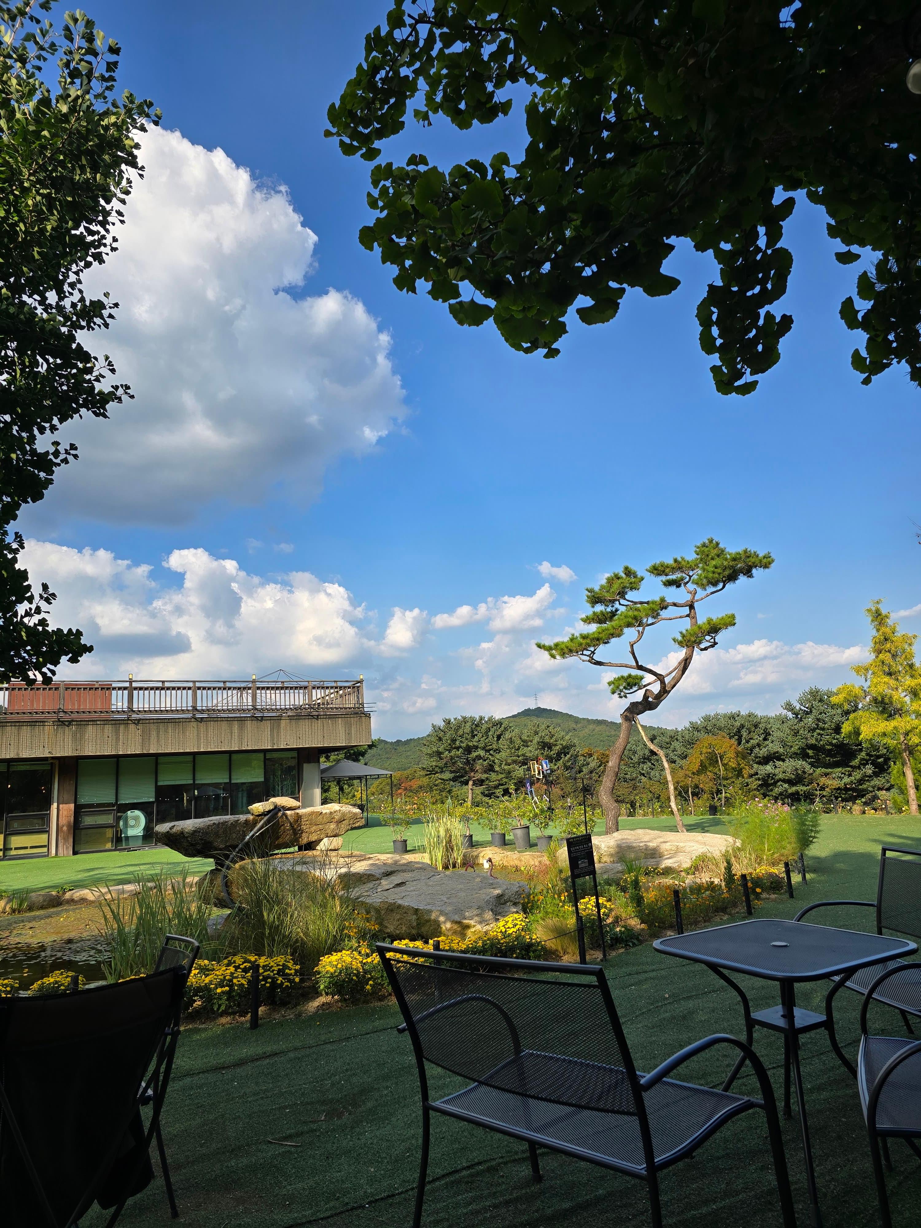 [서울 근교 여행지]산들소리 수목원 &amp; 낭만등불축제 후기