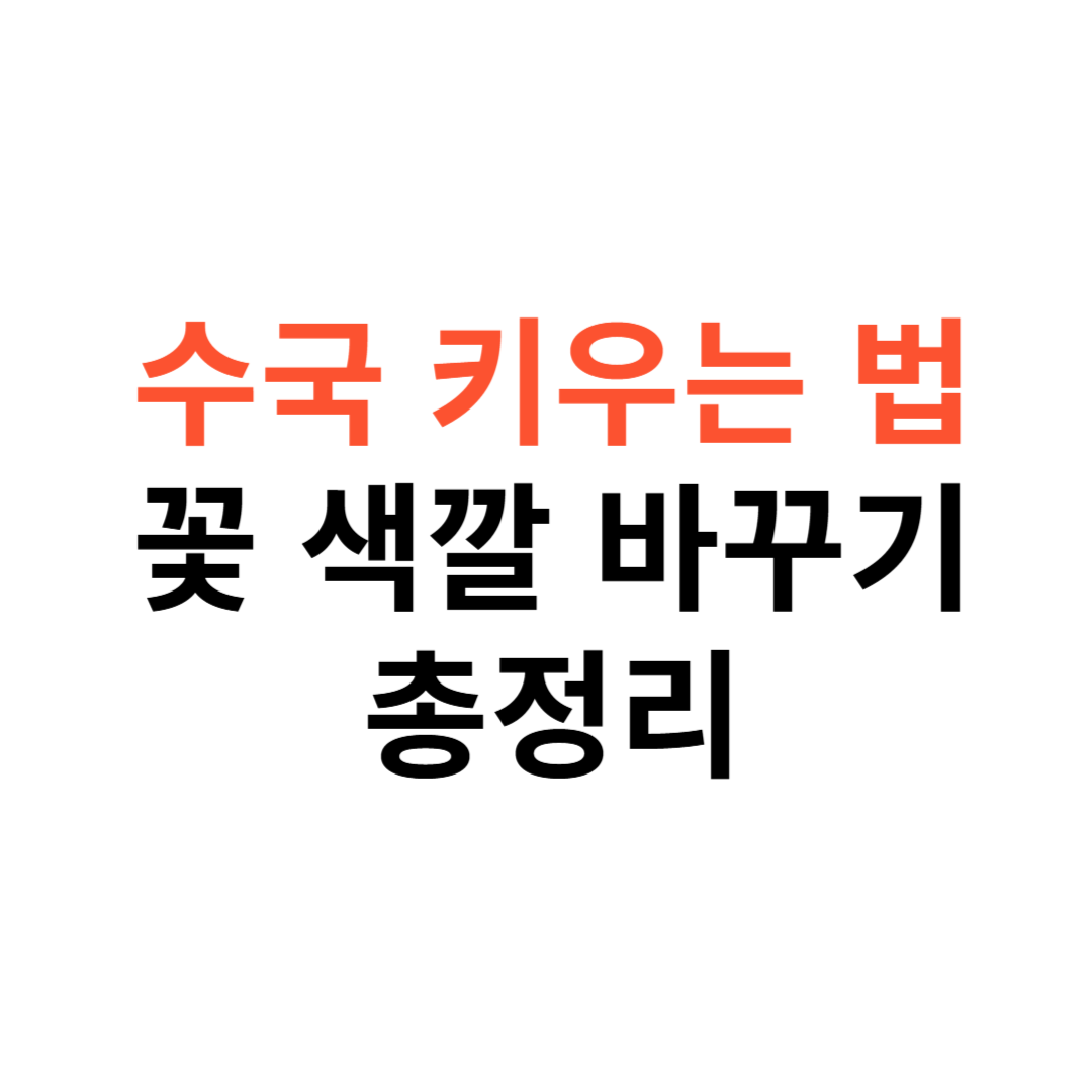 수국 키우는 법