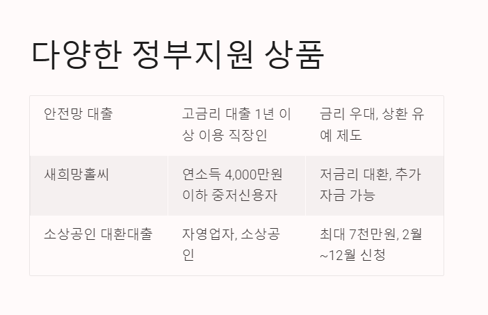 다양한 정부지원 상품 2