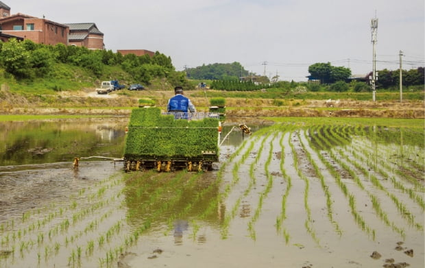 농지연금 : 가입조건, 수령액계산, 신청 및 해지까지 농지 연금제도 알아보기