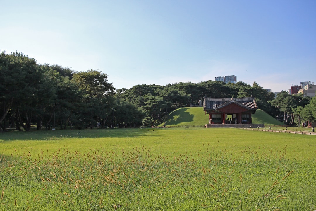 KBO (Korea Baseball Organization)