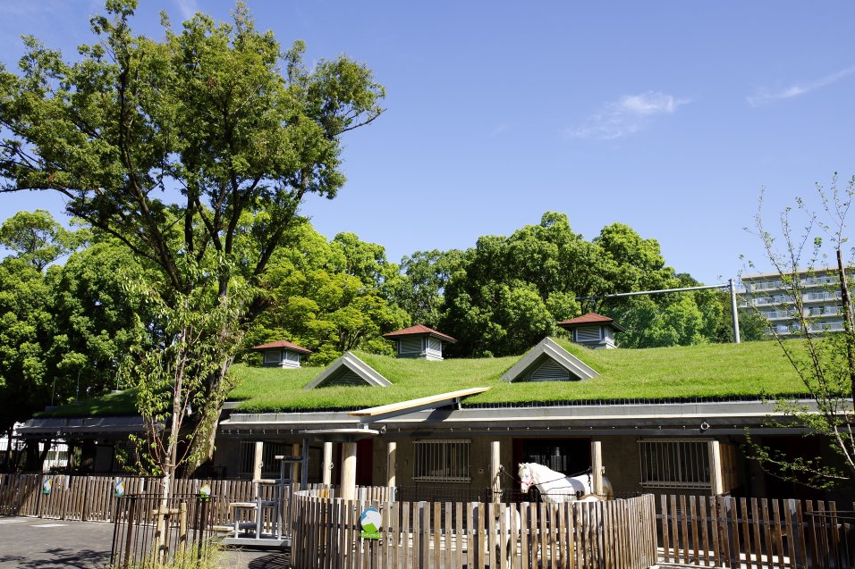 이타바시구 관광 가이드 – 꼭 가봐야 할 명소 7곳