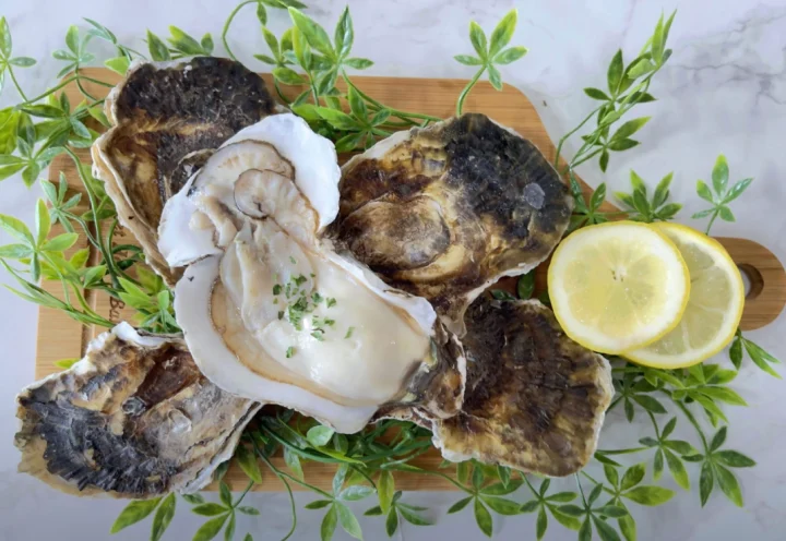 벚굴수산-섬진강-벚굴