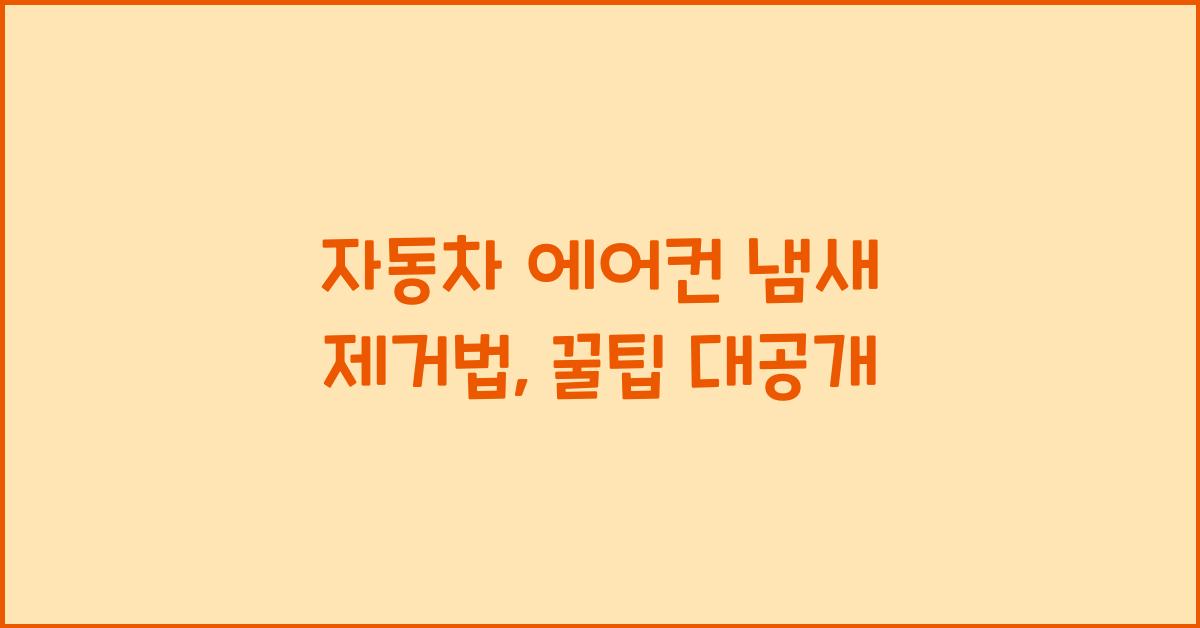 자동차 에어컨 냄새 제거법