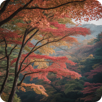 2025 지리산 단풍명소 & 단풍절정시기 이미지