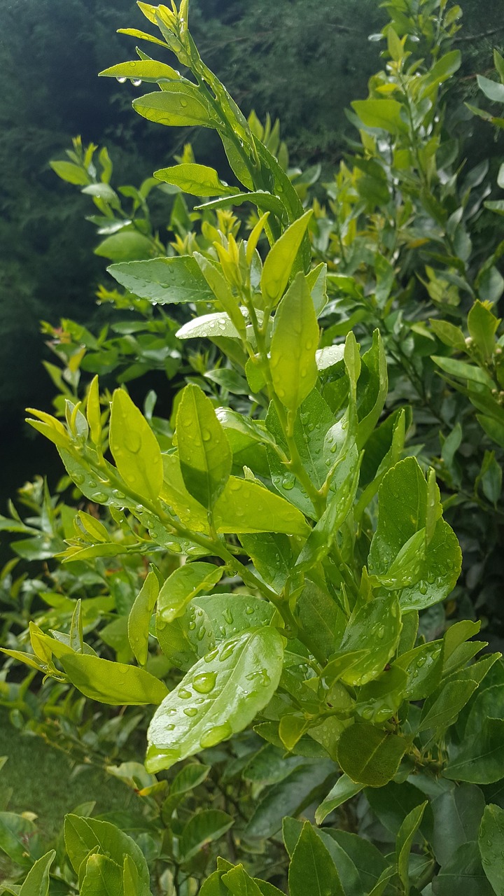 국민취업지원 중단사유
