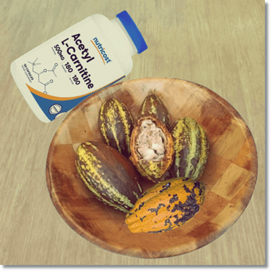 테오브로민 효능 및 특성 섭취량과 주의점