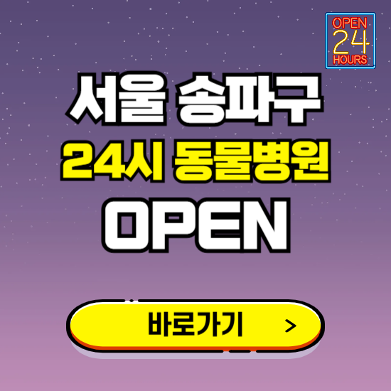 서울 송파구 24시 동물병원 진료하는 곳 ❘ 설날 휴일 야간 심야 문여는곳 찾기 ❘ 응급진료