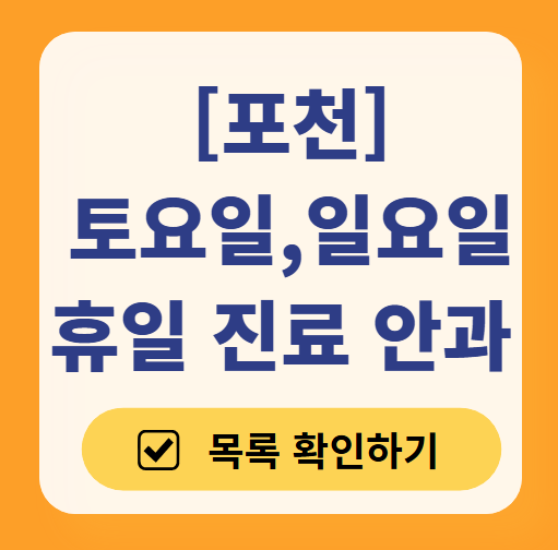 포천 토요일 일요일 문 여는 안과 목록 ❘ 주말, 공휴일 진료 영업 병원 찾기