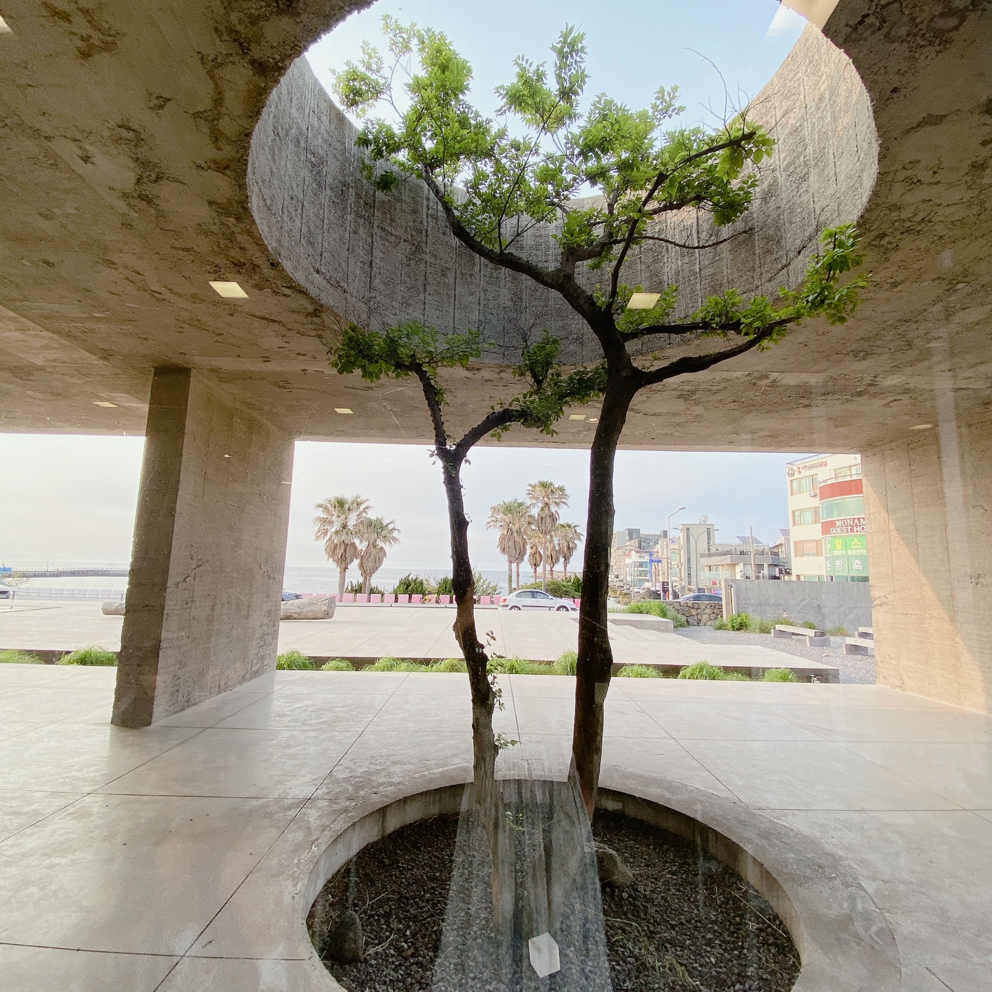 제주 이호테우 도두추억애거리 오션뷰 밀크티맛집 카페 진정성 종점