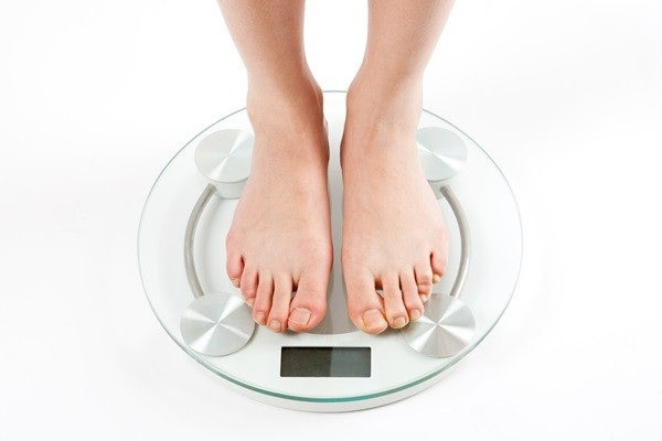 베르베린 혈당조절 심혈관건강 체중관리