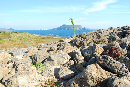 제주도 가볼만한 곳 10곳