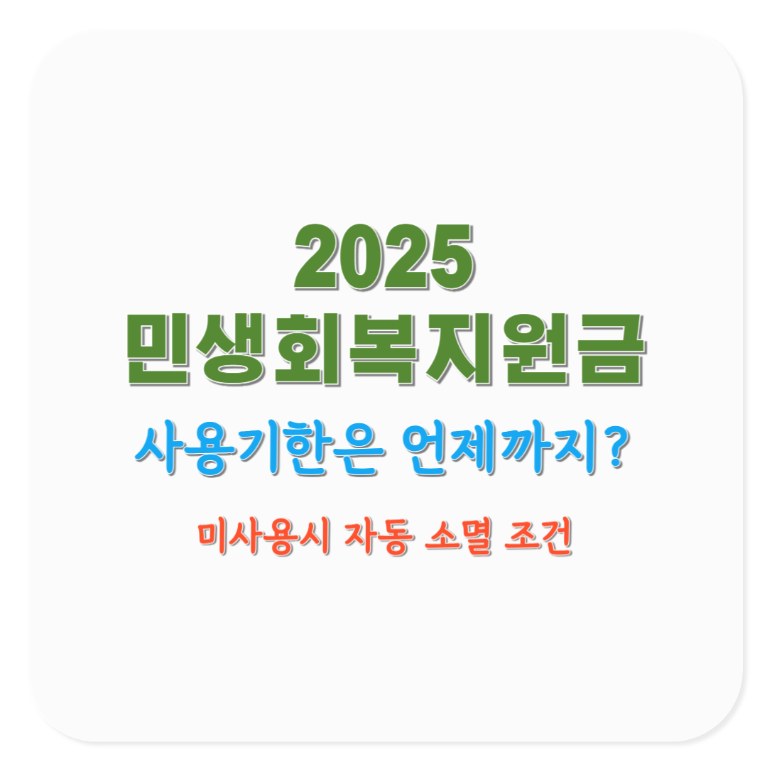 2025 민생회복지원금 사용기한, 미사용 시 자동 소멸 주의사항(코로나19 재난지원금 비교)