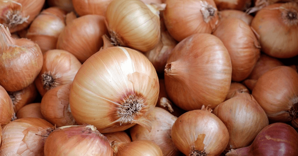 간 기능에 좋은 음식 사진 - 7