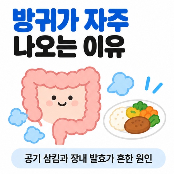 장과 공기방울 아이콘을 중심으로 방귀가 자주 나오는 이유 문구를 보여주는 대표 카드뉴스 이미지