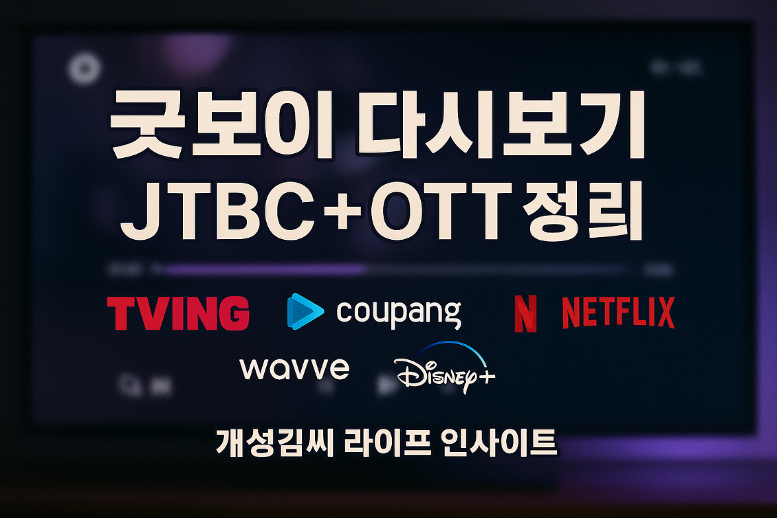 굿보이 다시보기,굿보이 OTT 시청법,JTBC 재방송 채널,티빙 굿보이 시청,굿보이 무료 보기,쿠팡플레이 굿보이
