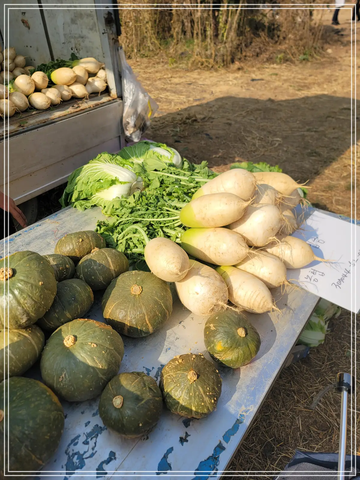 반계리-은행나무-행상-앞