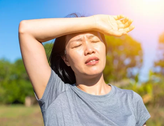 충남 내륙 폭염주의보 대전 세종 기온 상승