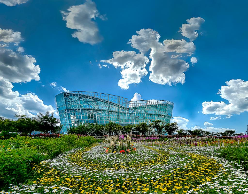 [4월~5월 여행지]만개한 꽃잔디와 봄날의 감동, 거창창포원에서 만난 힐링의 순간