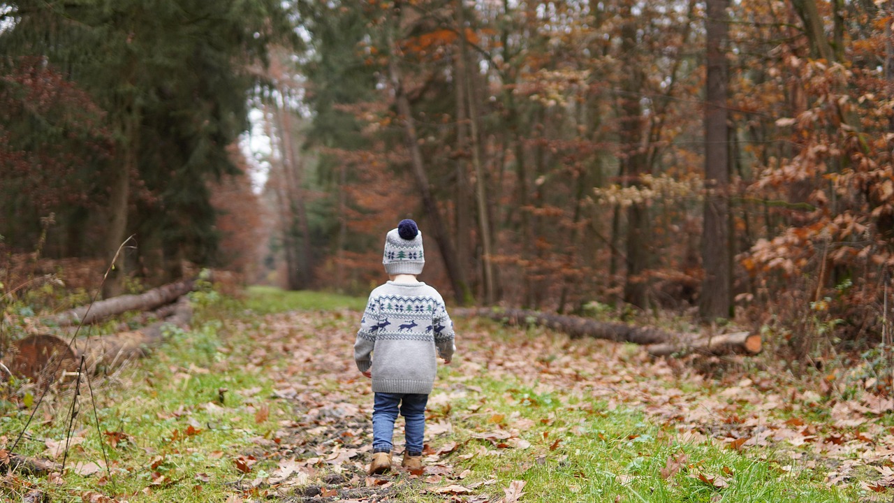 숲 속을 걸어가는 아이 사진
