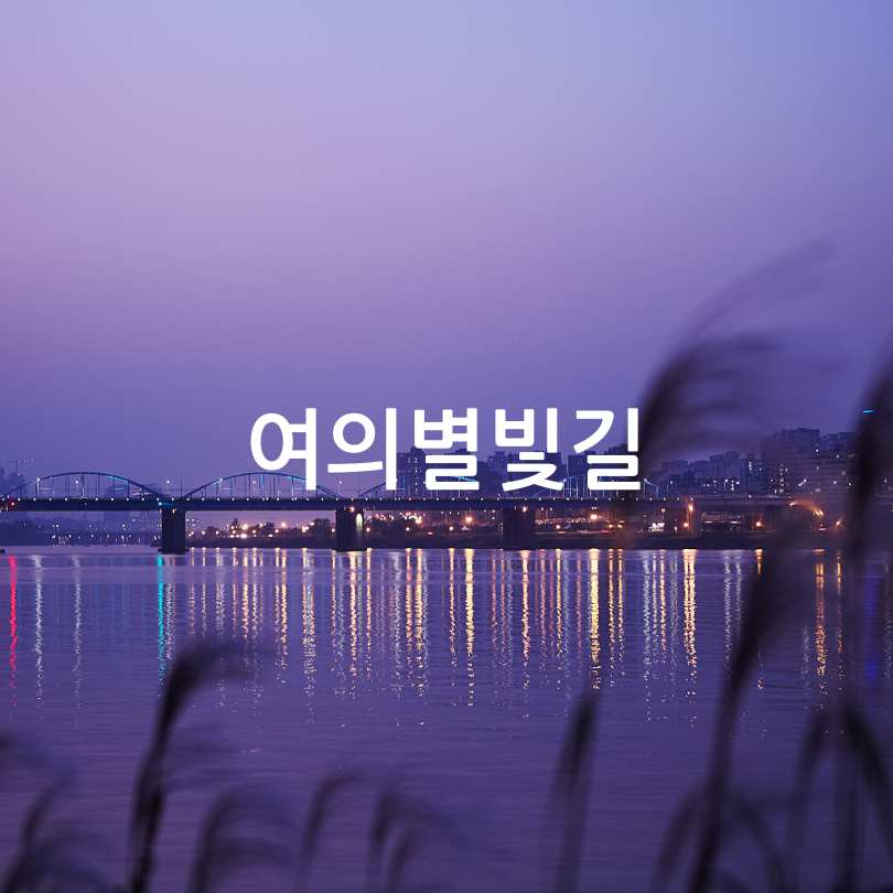 한강야경투어_봄