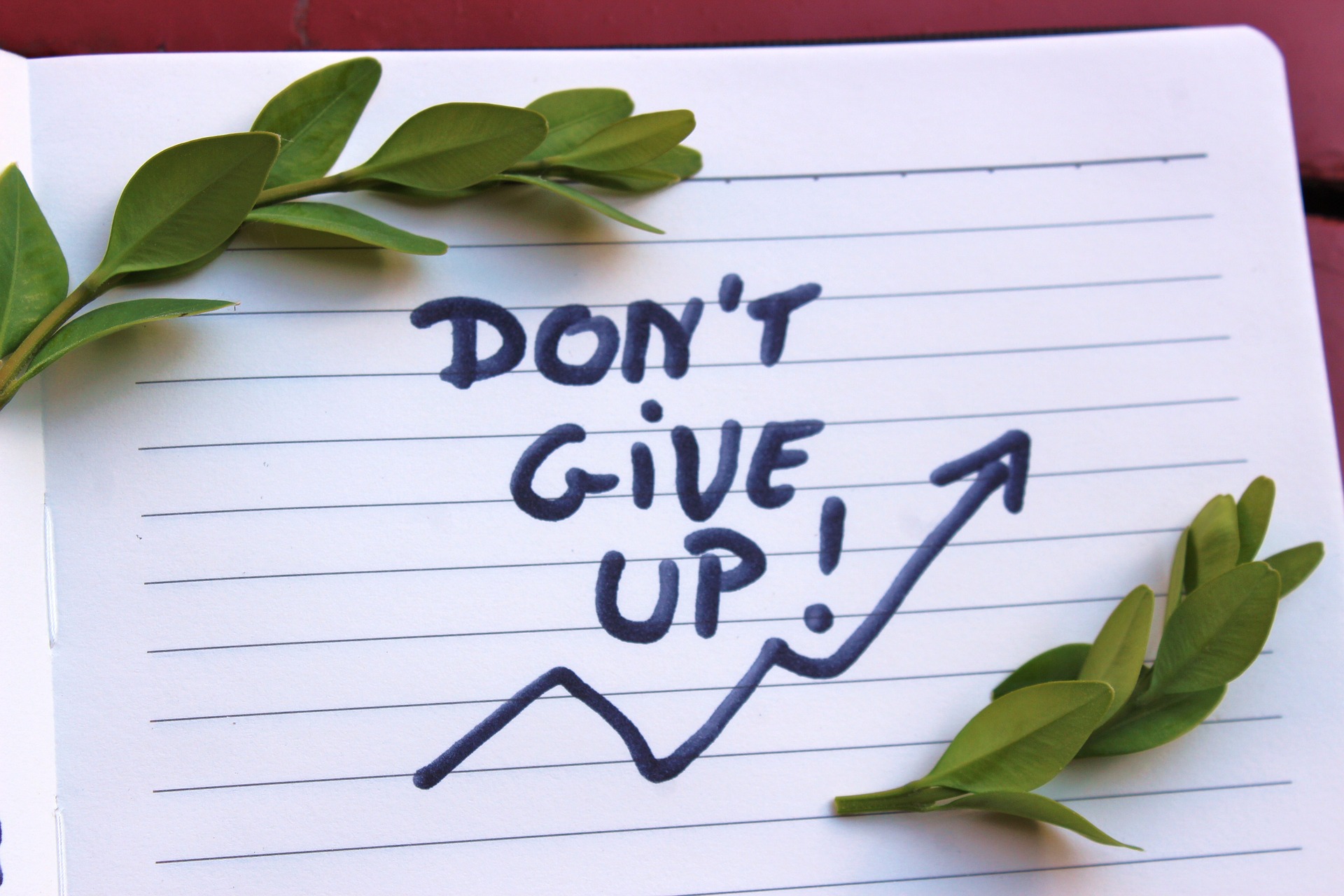 &quot;Don&#39;t Give Up&quot; 메모