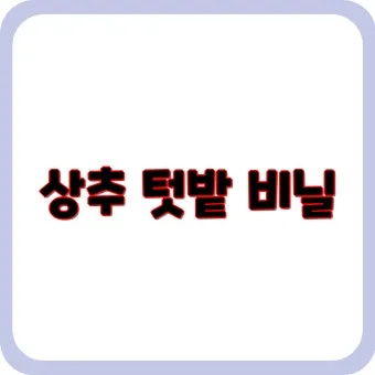 멀칭 필수 가이드 비닐 왕겨 볏짚 잡초 수분관리 효과_6
