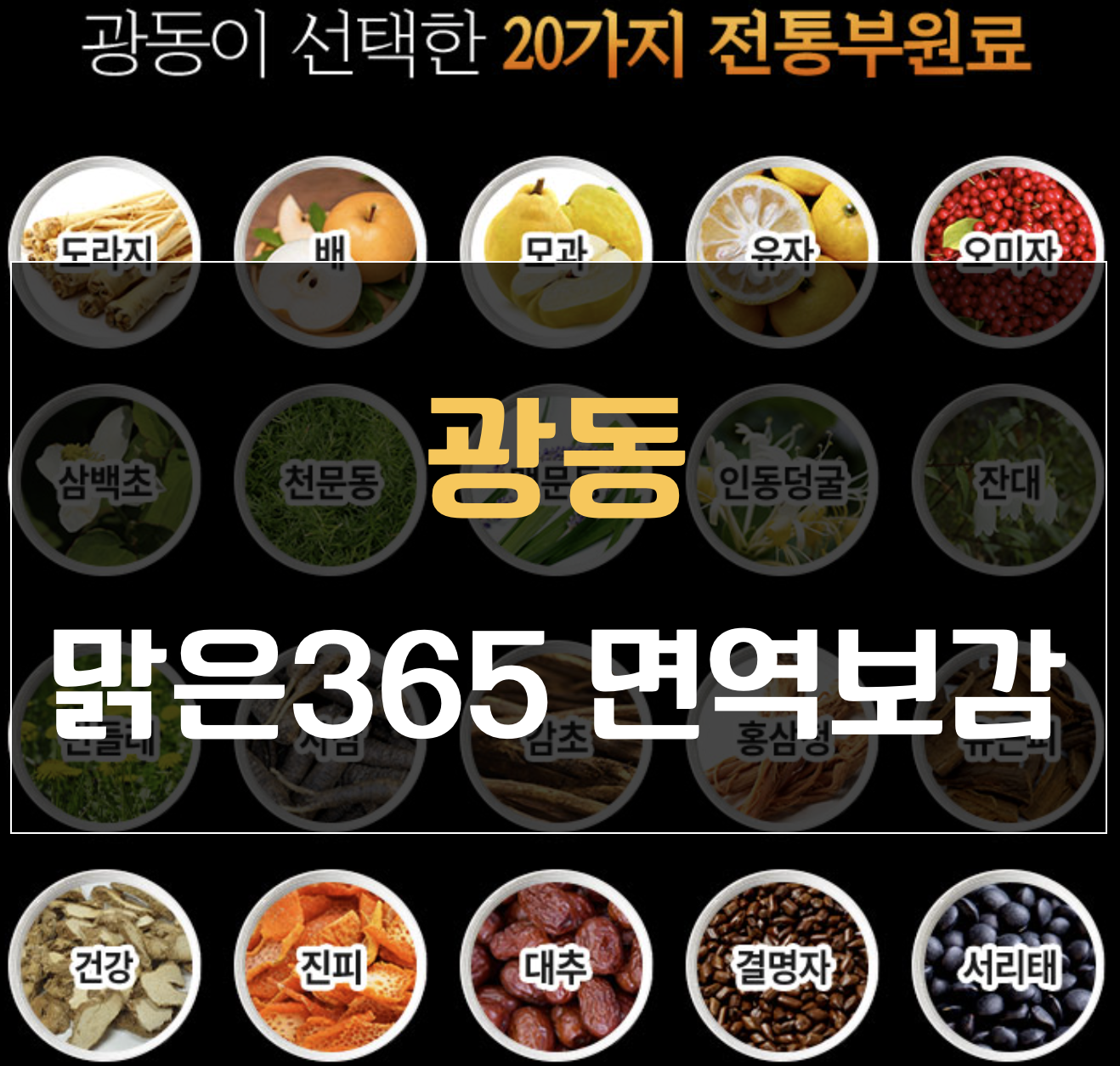 광동 맑은365 면역보감