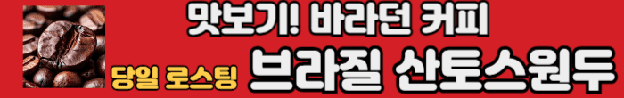 브라질 산토스
