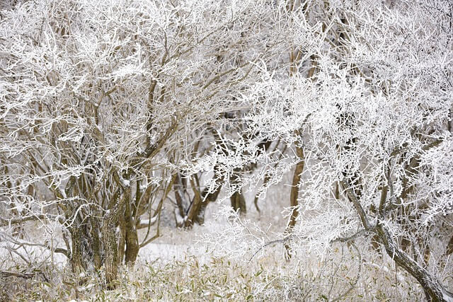 제주 한라산 버스 시간표 노선도 운행시간