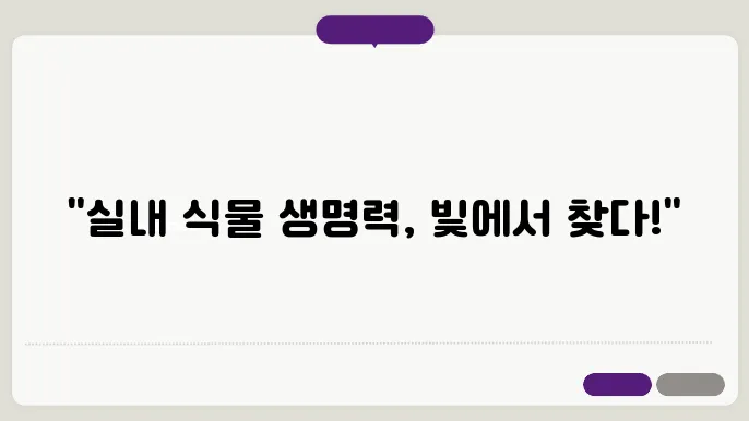 실내 식물 잘 키우는 법 빛 요구 사항과 조명 배치의 모든 것