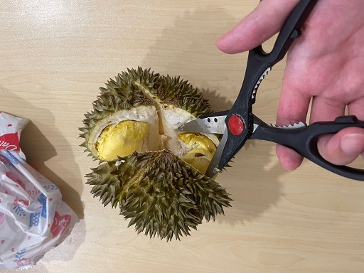 두리안 쉽게 까는 방법 설명 3