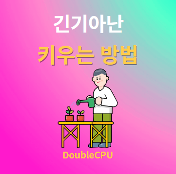 긴기아난 키우기