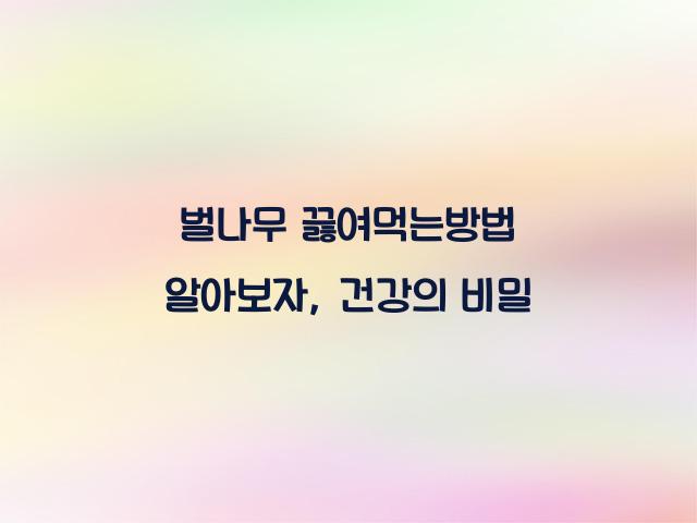 벌나무 끓여먹는방법