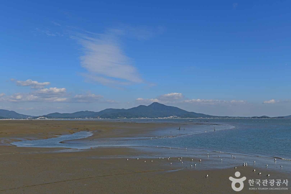 강화도 갯벌