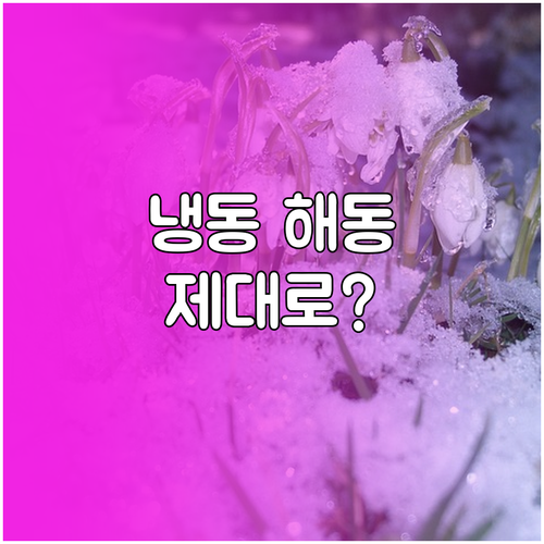 냉동식품 해동의 모든 것: 시간, 방..