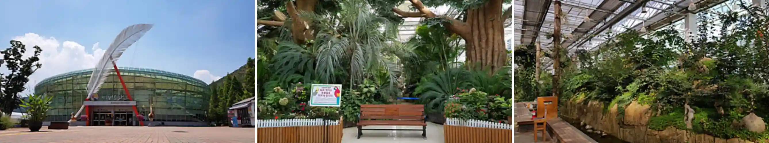 경주 버드파크 사진