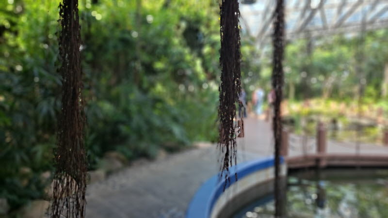 제주여행_여미지식물원