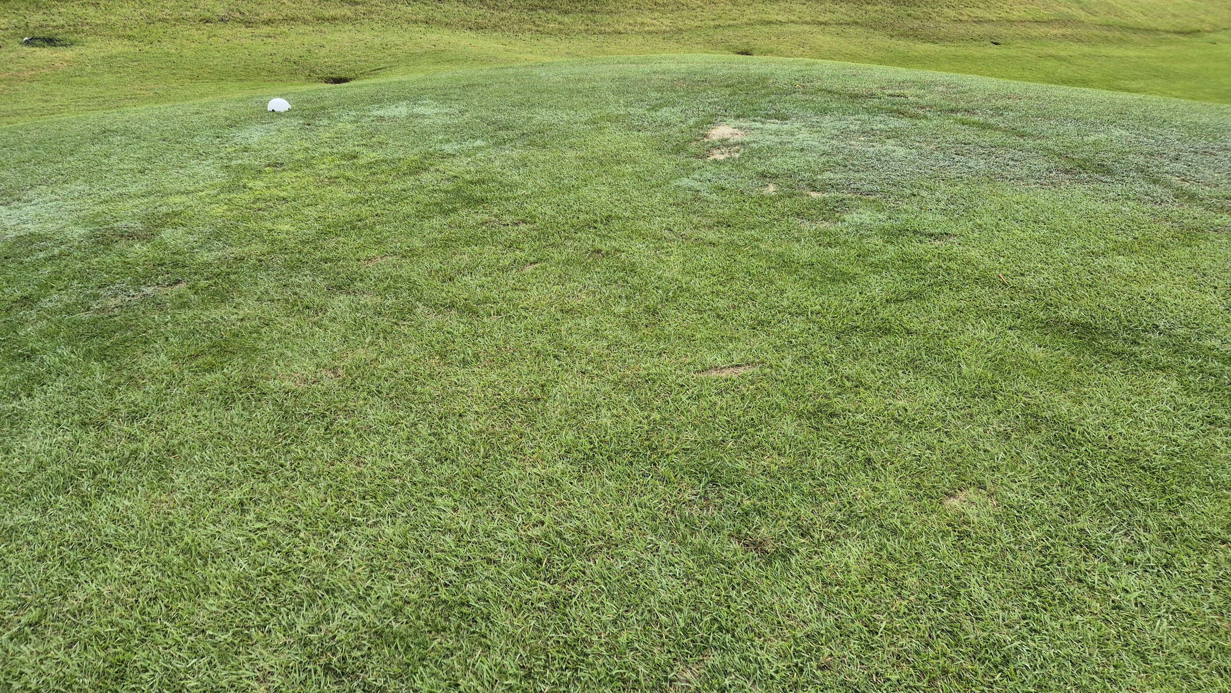 서산수cc 티잉구역 상태