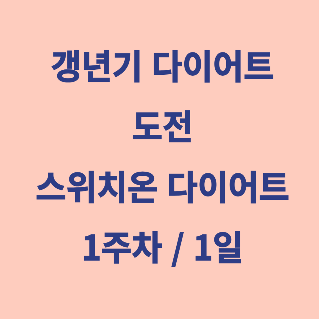 갱년기 다이어트 도전