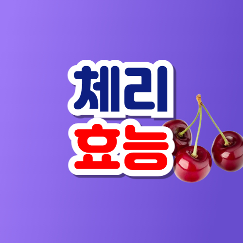 체리 효능